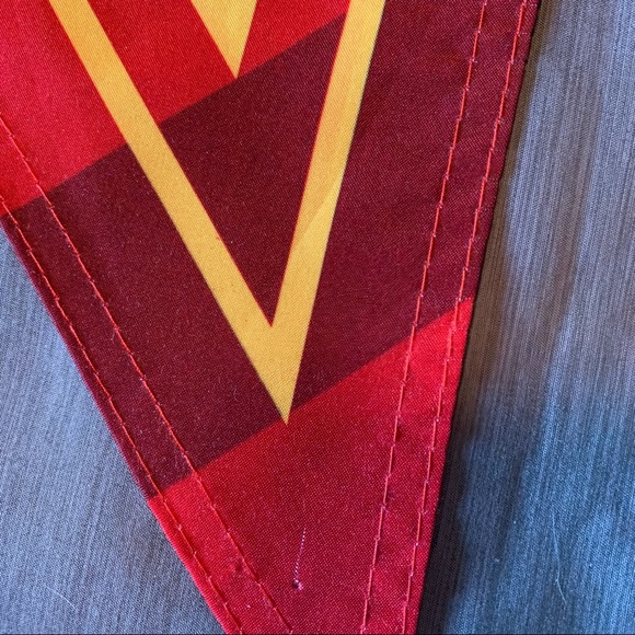 Harry Potter Gryffindor wall flag - Picture 6 of 7